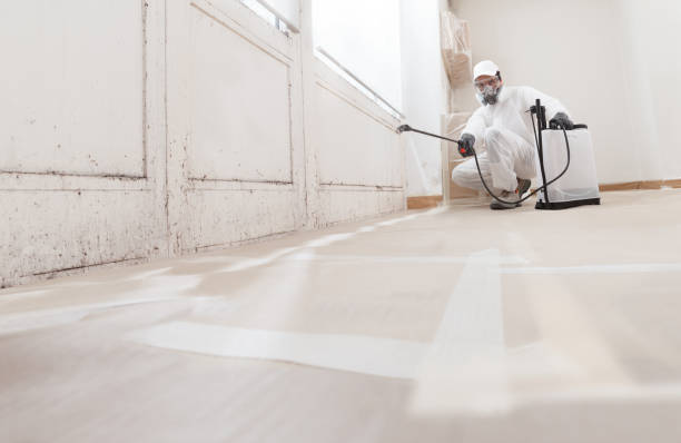 24/7 Emergency Mold Removal experts in Quantico, VA