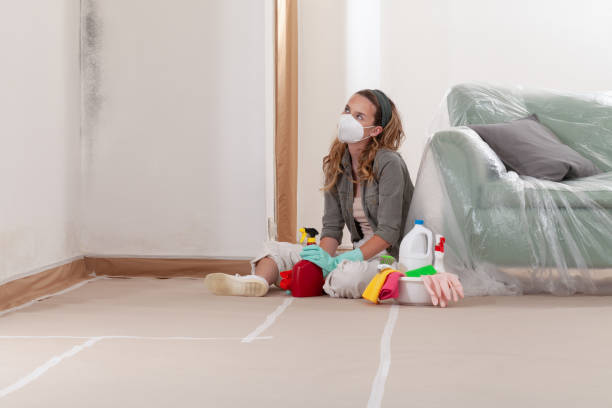Reliable Mold Removal contractor in Quantico, VA by WQB Mold Removal